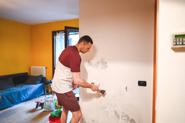 Professional Mold Removal in Big Sky, MT